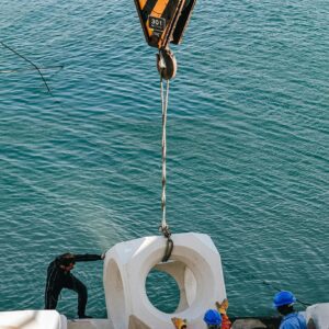 Industrial Crane & Rigging Companies