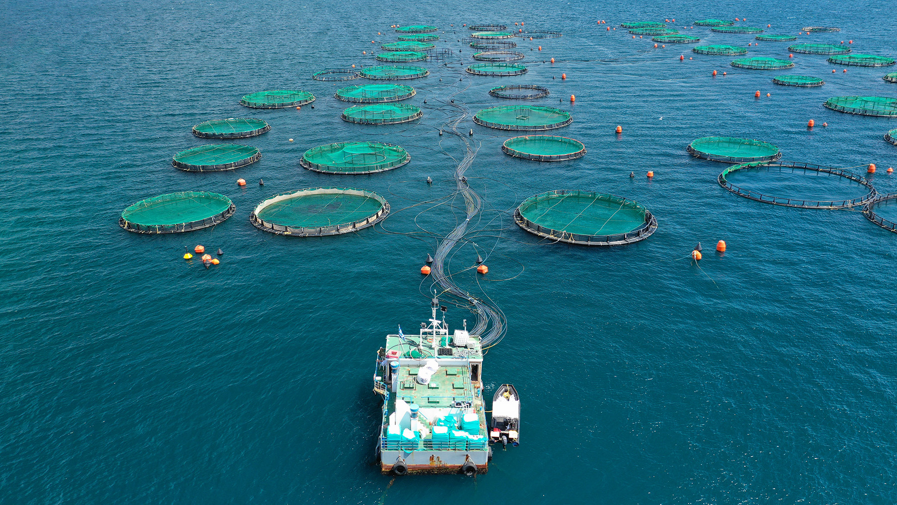 Aquaculture image demonstrating rope use.