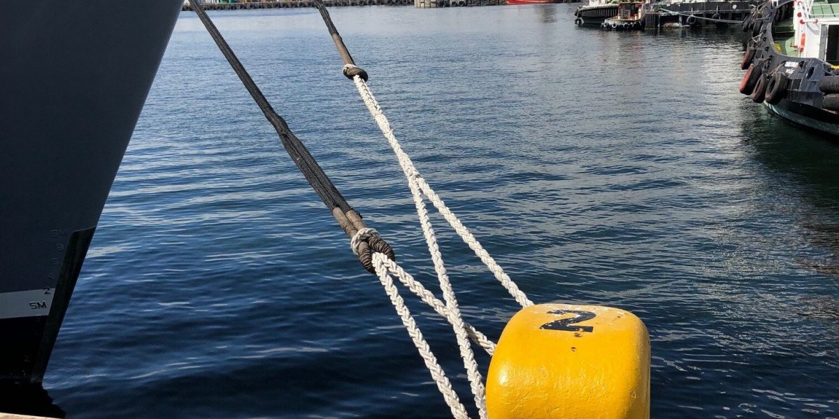 mooring tail